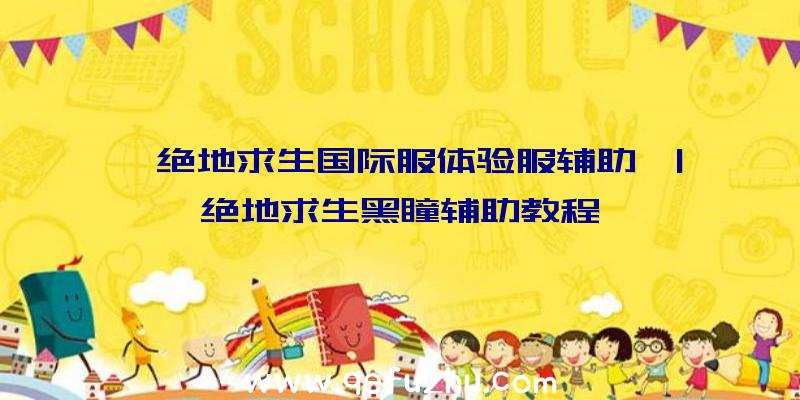 「绝地求生国际服体验服辅助」|绝地求生黑瞳辅助教程